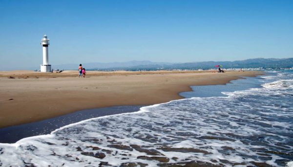 delta-del-ebro Delta del Ebro