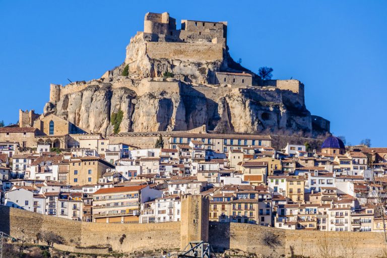 Morella